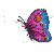 obrazok